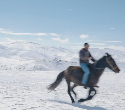 Dreamers and a Horse (PARTICOLARE)