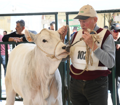 Agriumbria 2024 2